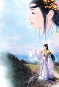 总裁的替身前妻